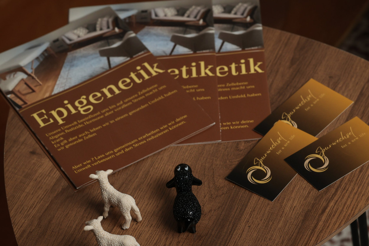 Spurwechsel for a new Life, Einblick 11