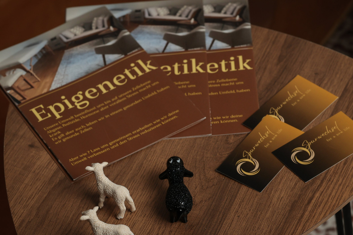 Spurwechsel for a new Life, Einblick 11