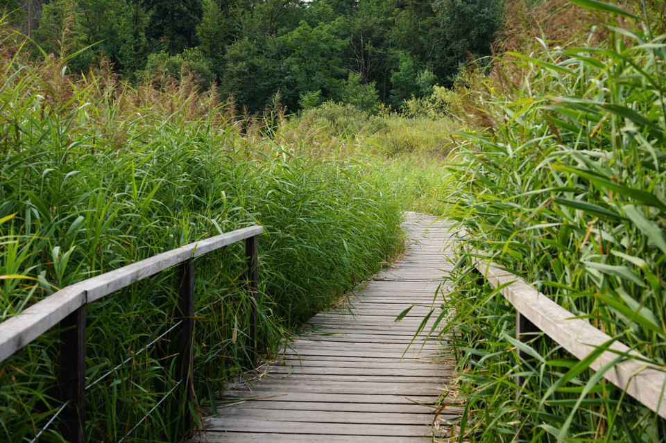 Grenzgänger Coach / Werni J. Gisler in Zug