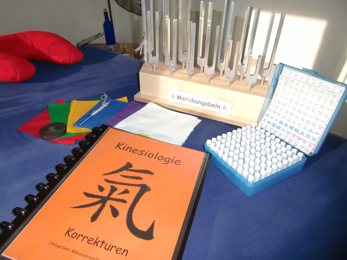 Kinesiologie Anja Kistler, Einblick 2