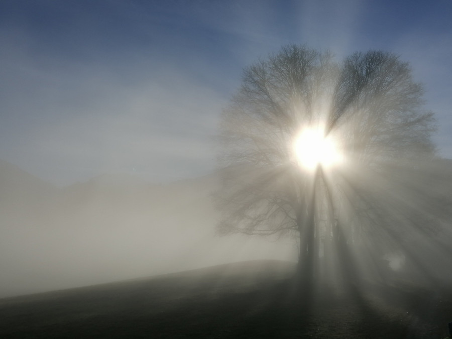Einblick bei SoulfloW