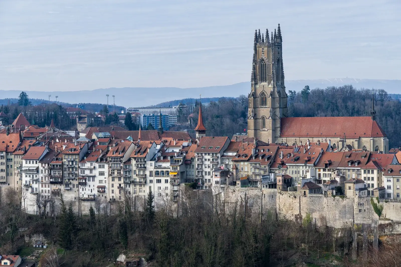 Blick über Freiburg