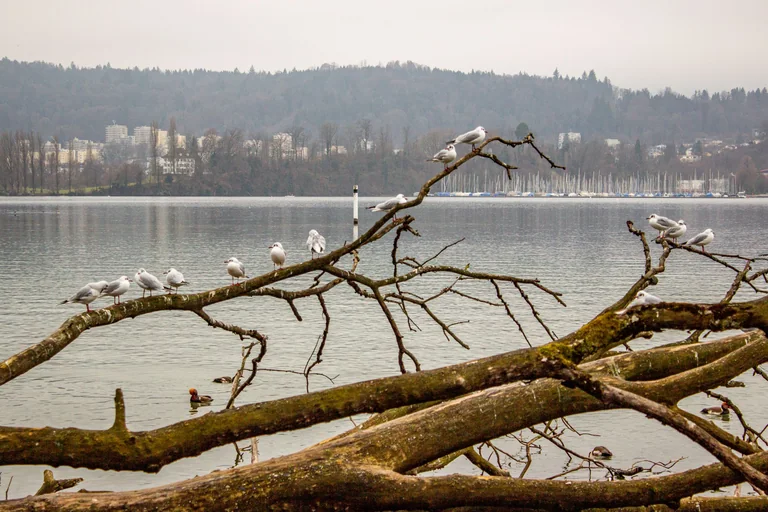 Kanton Luzern