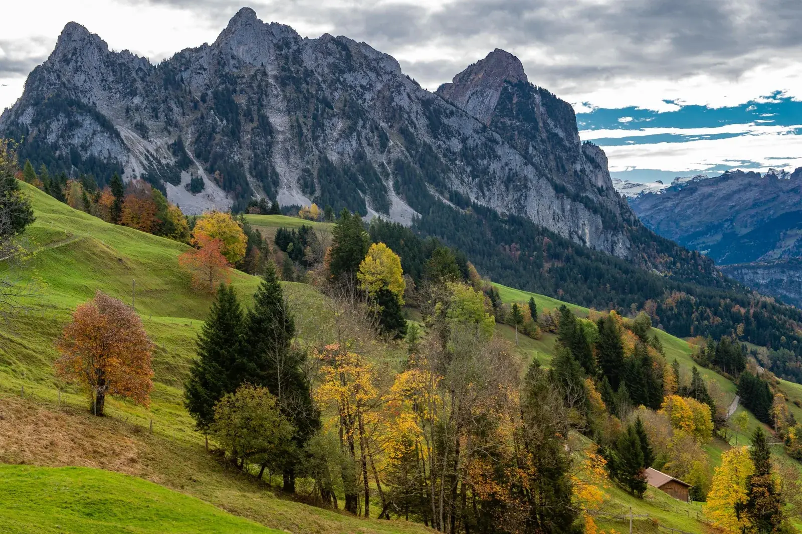 Blick über Schwyz